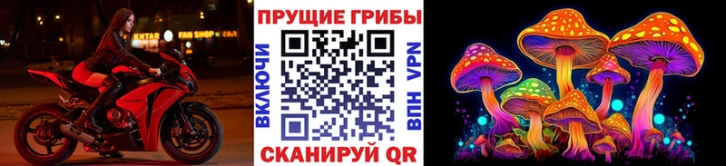 Купить закладки  Татарск  Галлюциногенные грибы Magic Shrooms 